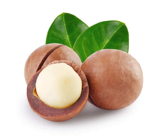 Hele en open Australische macadamia noot met twee groene bladeren