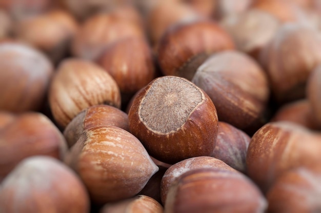 Hele hazelnoten op een houten tafel, rijpe hazelnoten niet gepeld uit de schaal