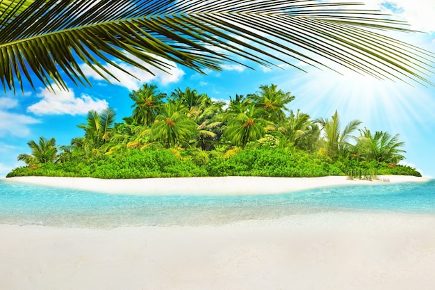 Hele tropisch eiland binnen atol in de Indische Oceaan. Onbewoond en wild subtropisch eiland met palmbomen. Blanco zand op een tropisch eiland.