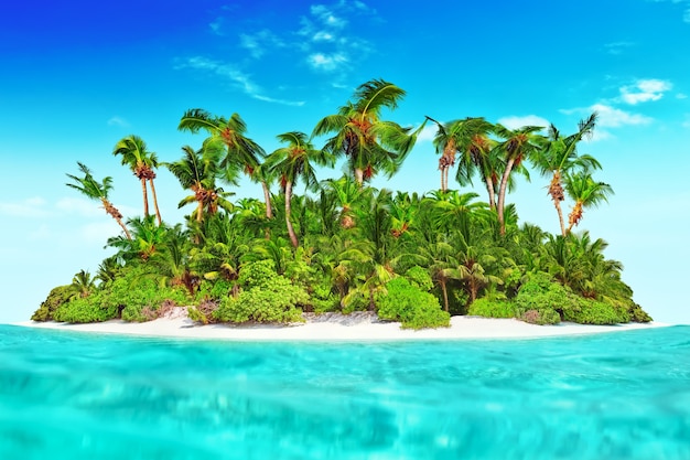 Hele tropisch eiland binnen atol in tropische Oceaan. Onbewoond en wild subtropisch eiland met palmbomen. Equatoriaal deel van de oceaan, tropisch eilandresort.