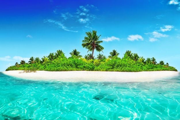 Hele tropisch eiland binnen atol in tropische Oceaan. Onbewoond en wild subtropisch eiland met palmbomen. Equatoriaal deel van de oceaan, tropisch eilandresort.