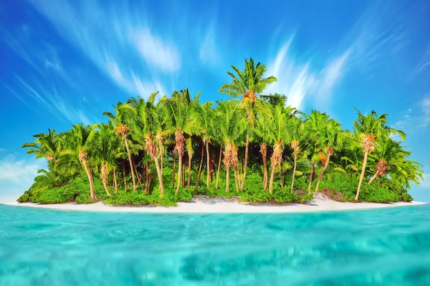 Hele tropisch eiland binnen atol in tropische oceaan. onbewoond en wild subtropisch eiland met palmbomen. equatoriaal deel van de oceaan, tropisch eilandresort.