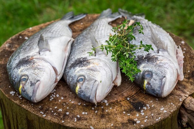 Hele vis met kruiden klaarmaken voor de grill