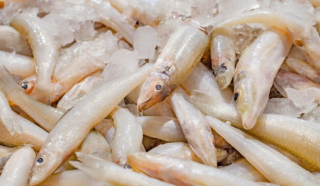 Hele witte visfilets rauw gekoeld ijs op de markt selectieve focus