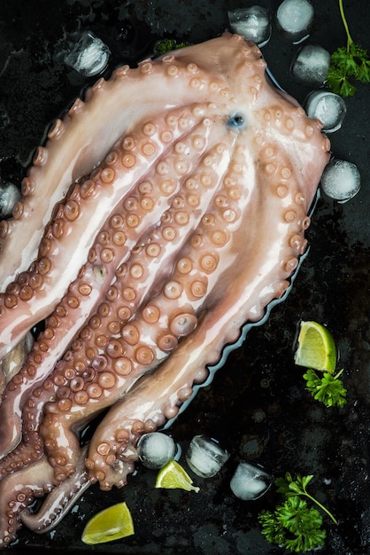 Hele zeevruchtenoctopus met ijs en limoen