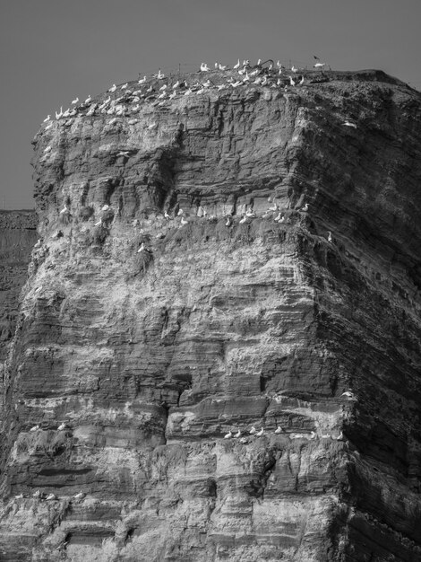 Helgoland in the north sea