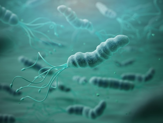 Helicobacter pylori под микроскопом Bactreiias