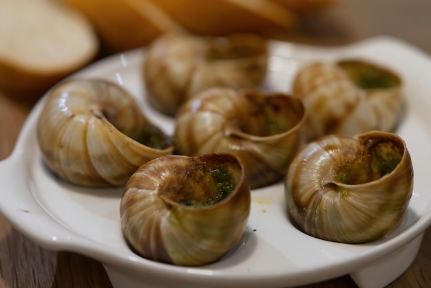 Helix Aspersa Muller slakkenschotel in een restaurant Eetbare slakken met boter en kruiden