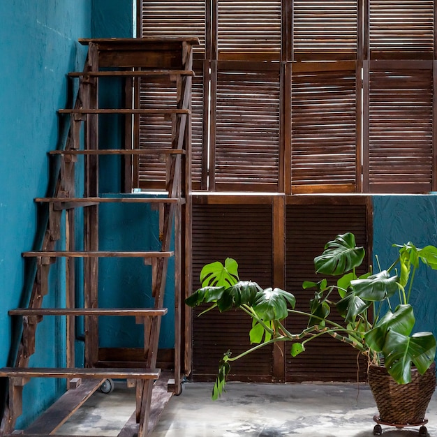 Hellende bruine trap tegen een blauwe muur en groene monstera