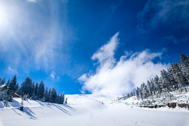 Helling van het skigebied in de Karpaten. Oekraïne