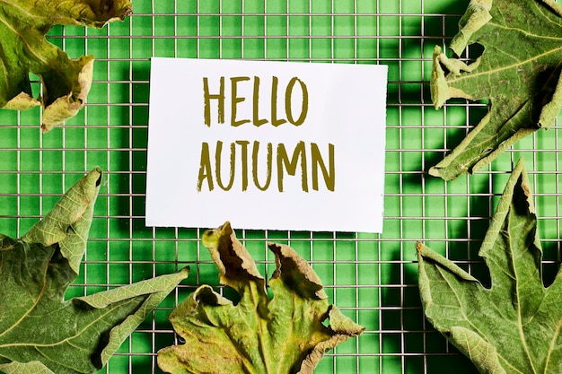 hello autumn card with dried leaves on fence background Thanksgiving concept bright autumn leaves