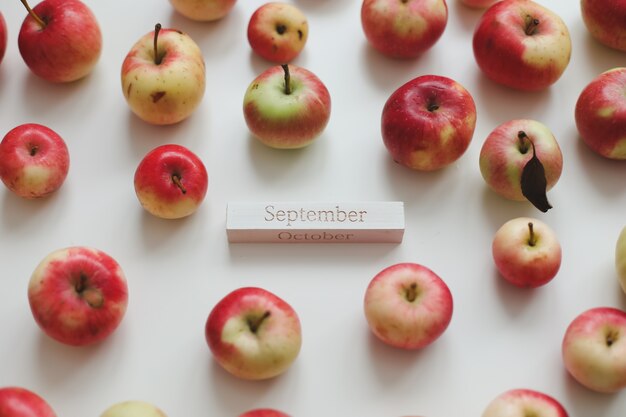 Hello autumn card with fresh red apples on white background top view