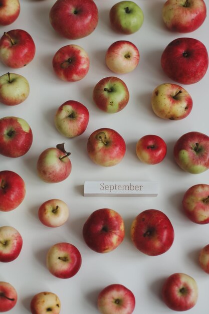 흰색 바탕에 신선한 빨간 사과가 있는 가을 카드 안녕하세요.