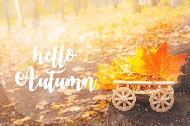 Photo hello autumn lettering card.