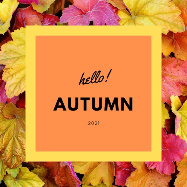 Hello Autumn