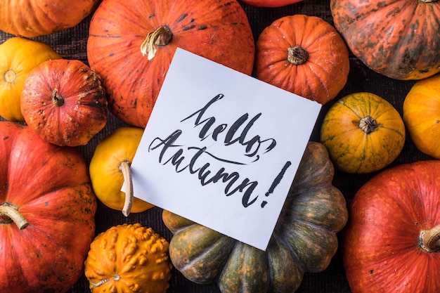 Hello fall pumpkin autumn food background