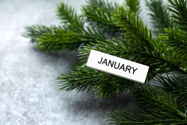 Hello january and winter background with spruce branches