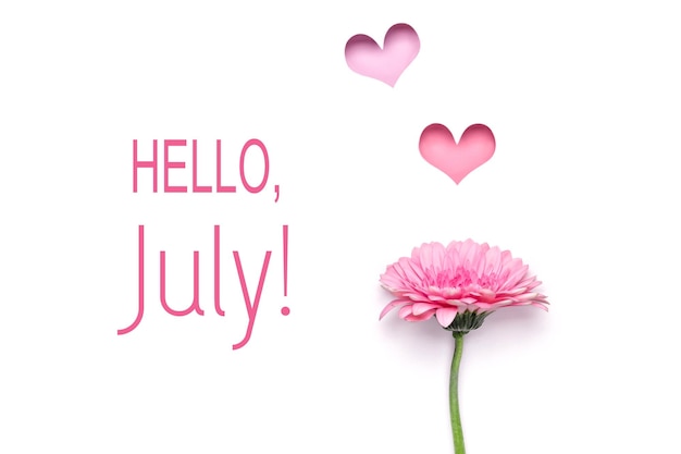 Photo hello july text and elegant daisy flower and colorful hearts holes minimal creative paper art