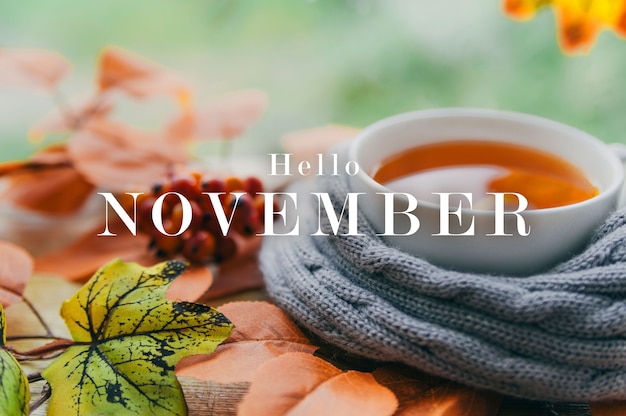 Photo hello november  banner design