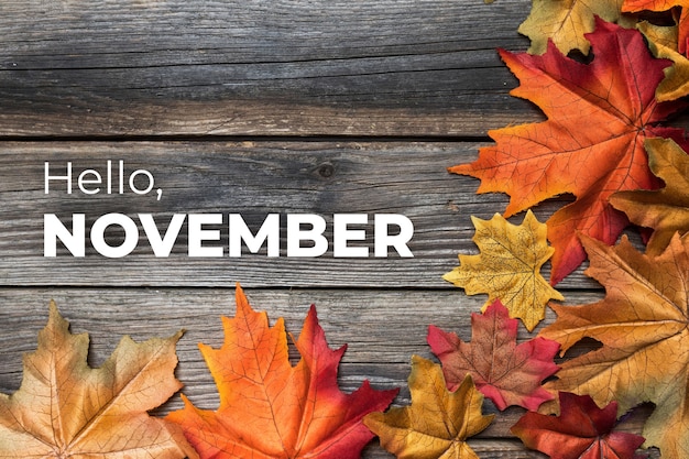 Foto progettazione del banner di hello november