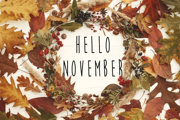 こんにちは、秋の花輪の 11 月のテキスト レイアウト白い背景の上の果実ナッツ ドングリ flowersherbs と円で秋の葉秋の組成季節のグリーティング カード