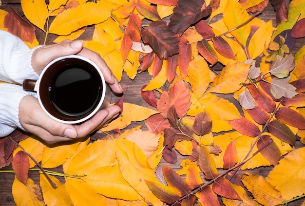 Hello October Autumn composition top view of autumn bright colorful leaves with a sheet of paper