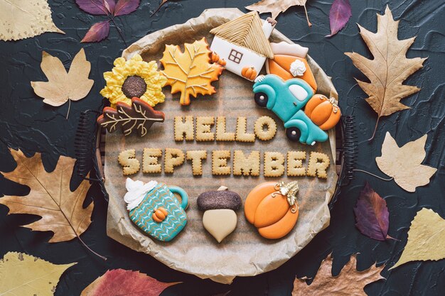 Hello September. Multicolored autumn cookies on a black background. Autumn concept