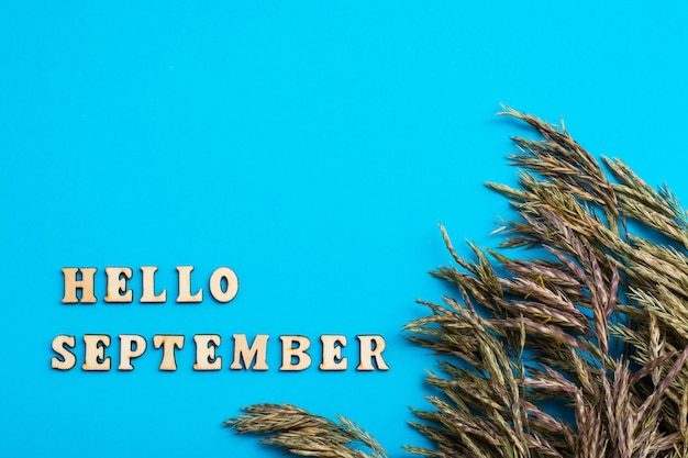 Photo hello september text in wooden letters and ears of grass isolated