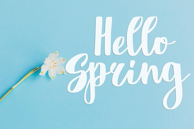 Hello spring text on tender white spring flower on blue background Modern greeting card