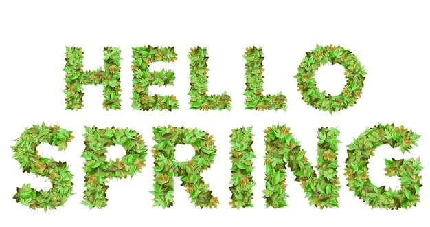 Photo hello spring text with springs leaves minimal design on white background