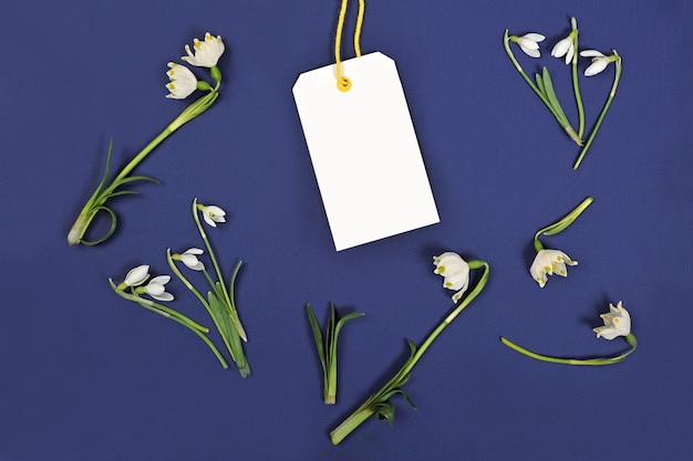 Photo hello springtemplate for greeting card with snowdrops and blank for text on a dark blue background