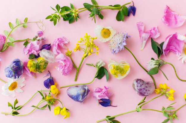 Hello summer concept floral ice cubes and fresh summer flowers\
flat lay colorful wildflowers in frozen ice hearts on pink\
background creative bright image