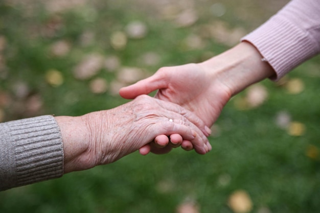 Photo helping hands. the concept of care for the elderly.