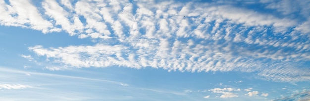 Hemelpanorama met cirruswolken op een zonnige dag Mooie cirruswolk