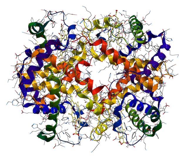 Молекула гемоглобина, изолированные на белом фоне