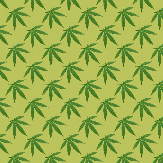 Hemp or cannabis leaves seamless pattern. Close up of fresh Cannabis leaves on yellow background