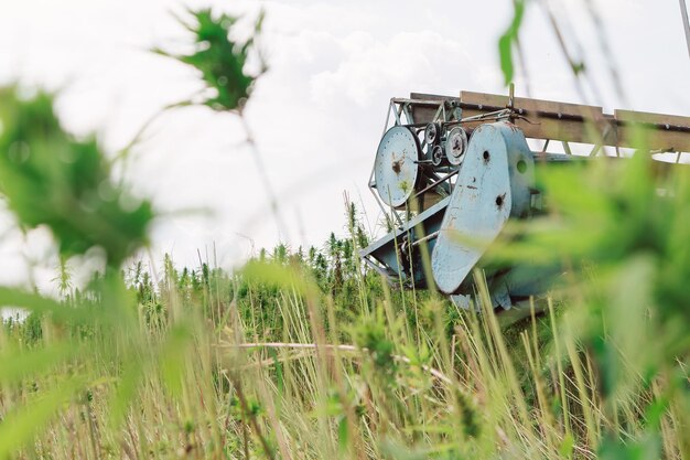 Hemp combine harvester collecting CBD plants