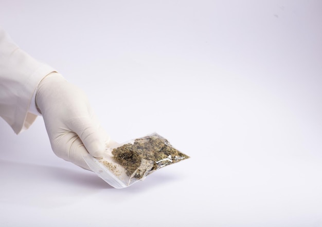 Hemp and drugs bag of marijuana in hands delivery gesture white\
background