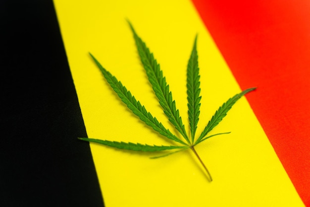 a hemp leaf on background of the irish flag Concept of legalization and changes in legislation regarding cultivation and use of marijuana in the country belgium