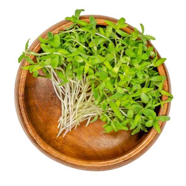 Photo hemp microgreen in a wooden bowl