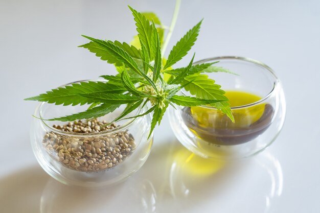 Hemp products concept. Cannabis seed oil and green plant on a white background