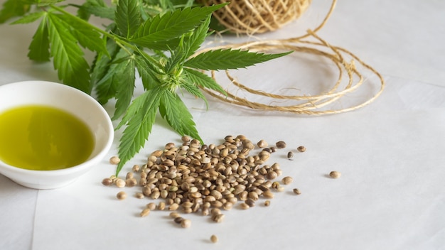 Hemp products concept. Cannabis seed oil, skein and green plant on white background