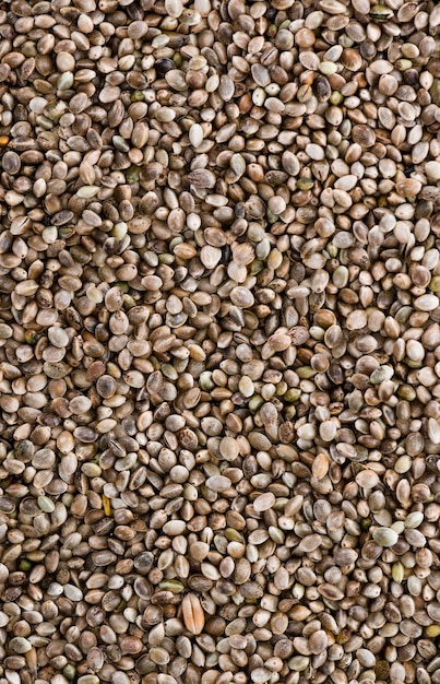 Hemp Seed background