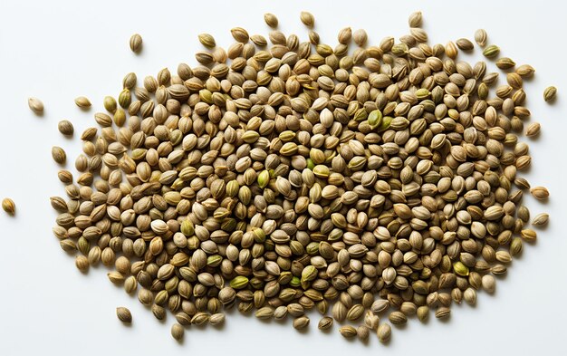 Hemp Seed with No Background