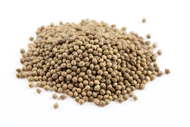 Hemp seeds on white background