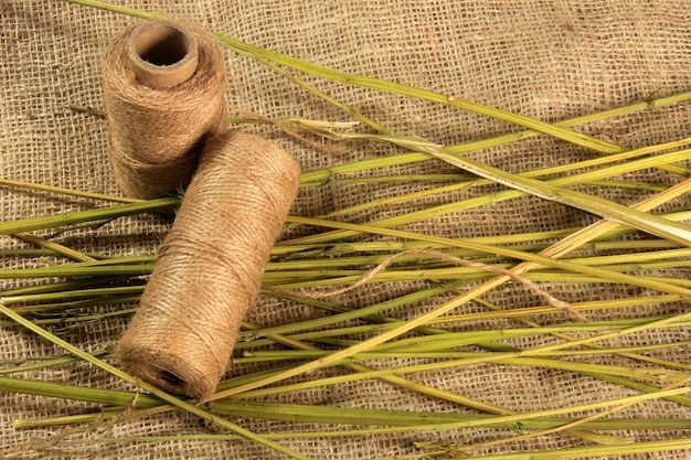 Hemp stalks on a light burlap background