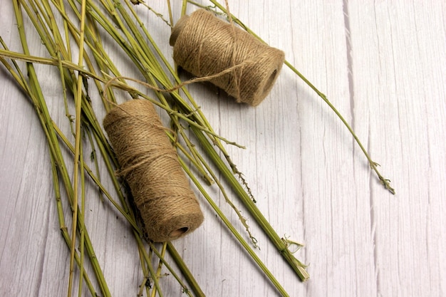 Hemp stalks on a light burlap background