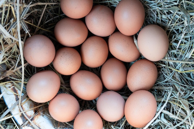 Корзина для куриных / куриных яиц на эй. Свежие куриные яйца на сене на местном фермерском рынке