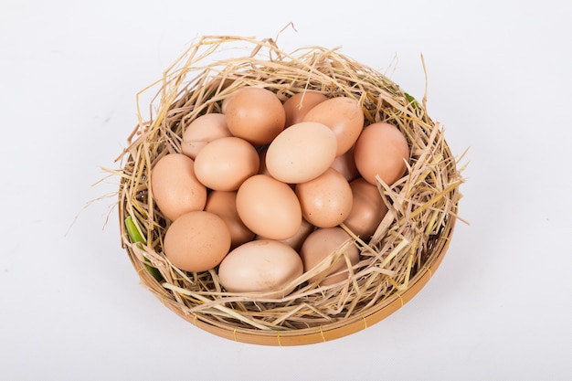 Hen or chicken eggs basket on the hey