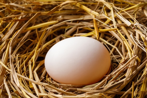 Photo hen or duck egg on straw
